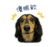 845795333