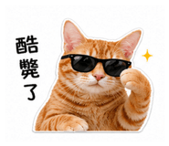 845795677
