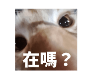 845796261