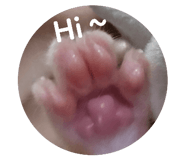 845796264