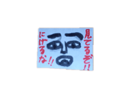 845797177