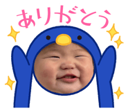 845797377
