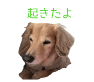 845797604