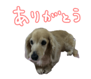 845797605