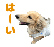 845797609