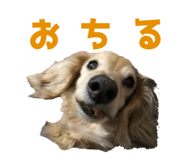 845797614