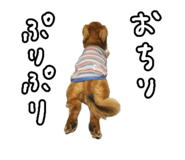 845797616