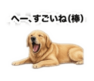 845797779