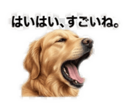 845797798