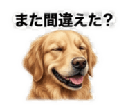 845797799