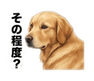 845797802