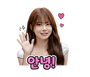 845800905