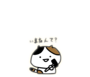 845802761