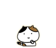 845802763