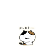 845802773