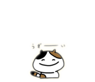 845802774