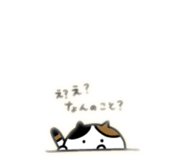 845802776