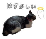 845803101