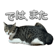 845803118