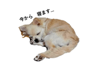 845803949