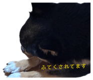 845804045
