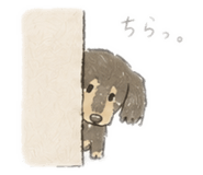 845804246