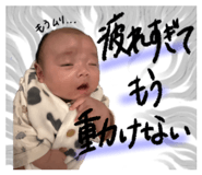 845804378
