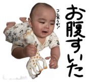 845804379