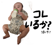 845804386