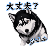 845804610