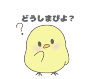 845804872