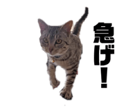 845804995