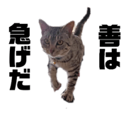 845804996