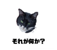 845804999