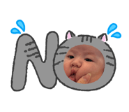 845805036