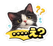845805127