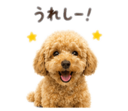 845805413