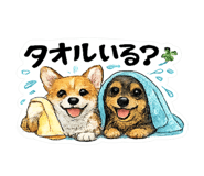 845805506