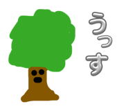 845805898