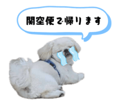 845805918