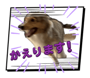 845805926