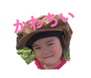 845806026