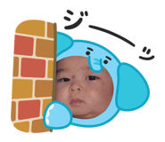 845806033