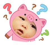 845806037