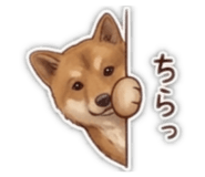 845806111