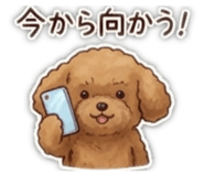 845806118