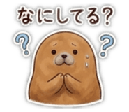 845806119