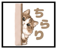 845806217