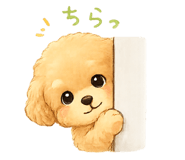 845806299
