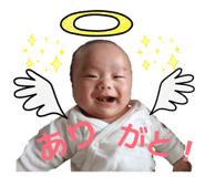 845806610